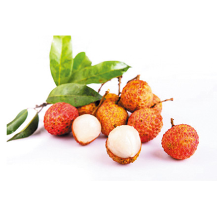 產品中心標題一