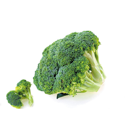 產品中心標題一