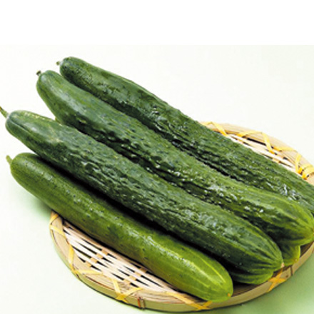 產品中心標題五