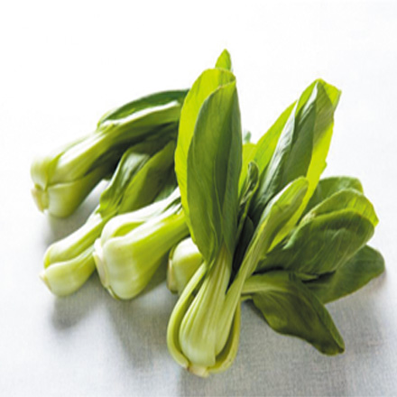 產品中心標題四