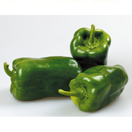 產品中心標題九