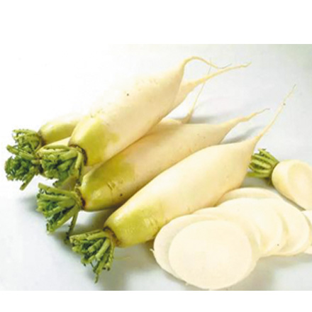 產品中心標題九